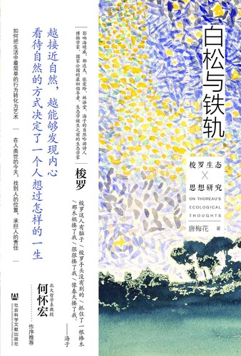 唐梅花: 白松与铁轨 (Chinese language, 2023, 社会科学文献出版社)